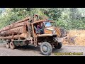 lori balak  [ santaiwong  logging trucks Malaysia ] truck santaiwong pahang