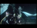 Night Snorkeling with Giant Manta Rays in Kailua-Kona, Hawaii - May 1, 2013