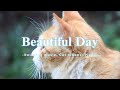 Relaxing piano music | Beautiful melody | Sleep music| Cat videos #relaxingmusic