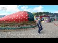 Roaming Benguet: Strawberry Farm | #BenguetRefreshingGetaways | Benguet Travel Vlog