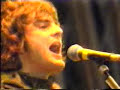 The Seahorses - Blinded By The Sun live Glastonbury 1997