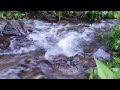 Sound of River Flowing in Mountain. Relaxing Nature Sounds. Flowing Water, White Noise for Sleeping