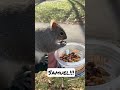 Samuel Squirrel havin some snacky snacks