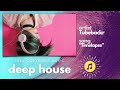 Tubebackr - Timelapse | No Copyright Music (Deep house)