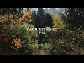 Autumn Hues - Fejká | Mix