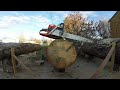 Mystery Husqvarna 5 Series Saw vs Stihl 5ooi - Woodlot Session