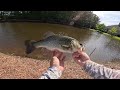 Fishing for Pond MONSTERS in Hidden Waters! (Bed Fishing)