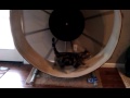 The cat wheel!