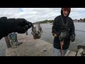 I Tossed My GoPro Under the Dock & Hit the Ultimate MOTHERLOAD!! (Magnet Fishing)