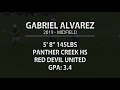 Gabriel Alvarez | Midfield | Lacrosse Highlight Video