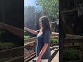 TIME AT THE ZOO VLOG (PART 1)