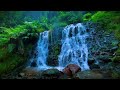 Beautiful Waterfall Sounds, Relaxing Music Soothing - Water Sounds, Sleep Music, Stress