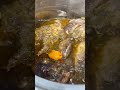 Bouillon de poisson