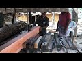 BIG WOOD CUTTING/ SAW MILL WOOD CUTTING PROCESS