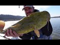 Fishing Above the Dam in February Pays off!! OH, River winter fishing.