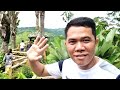 SIRAO GARDEN 2022 | Cebu Philippines 🇵🇭 #SiraoGarden #Cebu #Philippines [4K]