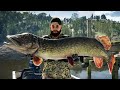 Call Of The Wild:The Angler Legendary Northern Pike