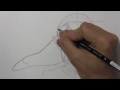 How to Draw Link from 