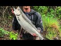 Spring Chinook Salmon Fishing In Oregon (Bank Fishing)