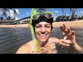 Napili Bay Guide with a Hidden Turtle Cove Surprise (our staycation!)