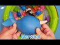 Fun Sea Animal Toys for kids in water| Ocean Animal Names and Facts