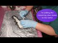 CREATE 3D MIXED MEDIA ART FROM AN ACRYLIC POUR- EMBELLISH A PAINTING