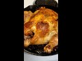 I Roasted a Chicken Using Adam Ragusea's Method and this happened #food #foodie #cooking #shorts