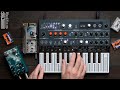 Arturia Microfreak with Pedals // no talking, all music // reverb, delay, distortion, granular
