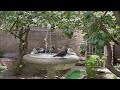 Mindfulness Video in Spanish, Malaga Cathedra, La Manquita