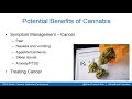 Clearing the Smoke: Cannabis and Brain Tumours