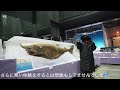 【息子とふたり旅】2月の極寒北海道・車中泊の旅　phase2