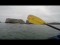 Cape Arago Gray Whale, August 2016