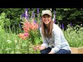 How to Grow and Harvest Snapdragons // Northlawn Flower Farms