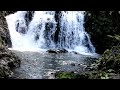 Relaxing River-Peaceful Forest Walk and Nature Sounds-Sleeping and Stress Relief your Mind