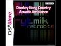 Rytmik Retrobits Arrangement - Donkey Kong Country: Acuatic Ambiance
