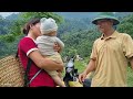 Harvesting bananas for sale - On the way home - accidentally met a baby abandoned by his mother