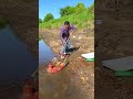 Unique Fish Trap Of Catching Many Small and Big Fish 🐟🎣#shorts #viral #fishing
