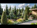 Landscaping ideas - Elevate Your Yard Design - a Striking Landscape