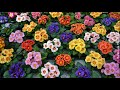 ❀ Самые красивые бордюрные многолетники для украшения дорожек в саду и цветников