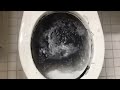Will it Flush? - Black Slime