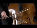 Instrument: Double Bass