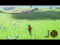 A weird looking Shield Surf in Breath of the Wild