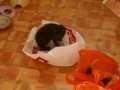 Our Cat, John McCain, attacks shopping Bag