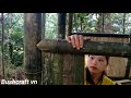 How To Build Bamboo House 2021 | Bushcraft vn - Ep.41