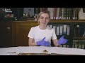 Hands on with the Sutton Hoo sword I Curator's Corner S5 Ep1 #CuratorsCorner #SuttonSue #TheDig