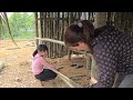 Single mother - Start a new life , renovate the bambo house [Ly Ly's daily life]