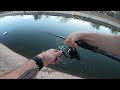 Canal FISHING for BASS w/ Swimbaits!