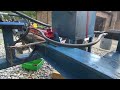 How to Make Hydraulic Log Splitter Way Faster! #80