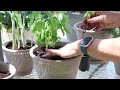 OUTDOOR CLEAN & GARDEN | PATIO REFRESH | PLANTING HERBS & ANNUALS