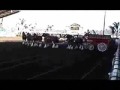 Budweiser Clydesdale Wagon